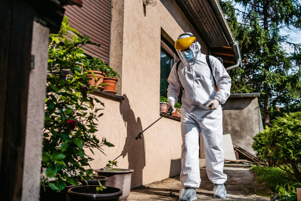 Best Pest Removal Services  in View Park Windsor Hills, CA