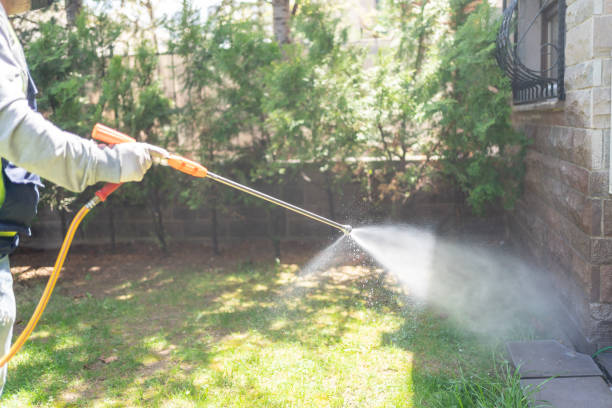 Best Commercial Pest Control Services  in View Park Windsor Hills, CA