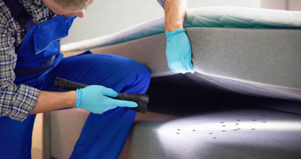 Best Best Pest Control Companies  in View Park Windsor Hills, CA