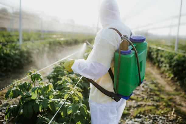 Wasp Removal Services in View Park Windsor Hills, CA